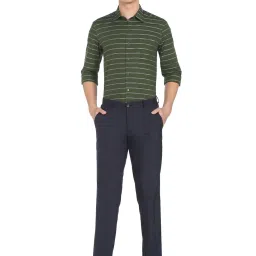 Arrow Green Cotton Slim Fit Striped Shirt image 5