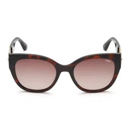 IDEE Brown Oval UV Protection Sunglasses for Women image 2