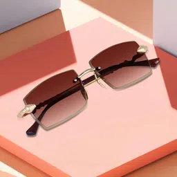 LIZA ANGEL Unisex Brown Lens & Gold-Toned Rectangle Sunglasses with-picture-42
