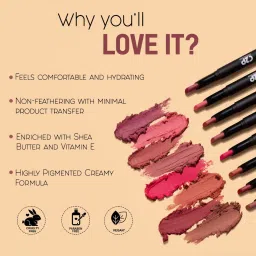 C2P PROFESSIONAL MAKEUP Slice Non Transfer Matte Lipstick Rose Bouquet 101 - 1.7 gm image 2