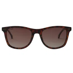 TOMMY HILFIGER Brown Wayfarer UV Protection Unisex Sunglasses image 2