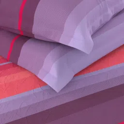 Bianca Callista Peach & Purple Cotton 180 TC King Bedsheet with Pillow Cover image 5
