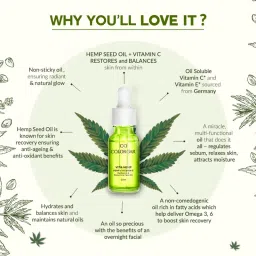 Colorbar Vita Hemp + Vitamin C Restoring and Balancing Night Oil image 5