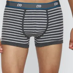 peter england Men Grey Stripe Trunk-picture-14