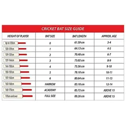 DSC SPLIIT 400 English Willow Cricket Bat Size - Mens image 2