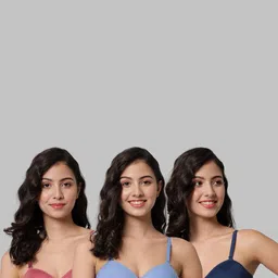 Samvar Multi Cotton Non-Wired Non Padded Minimizer Bra image 3