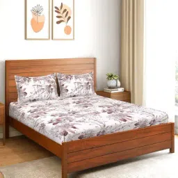 Saral Home Easy Living Brown Microfiber 200 TC Ava Soft King Bed Sheet With Pillow Covers-image-19