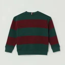 Tommy Hilfiger Kids Deep Rouge/Ornamental Green Striped Full Sleeves Sweatshirt image 2