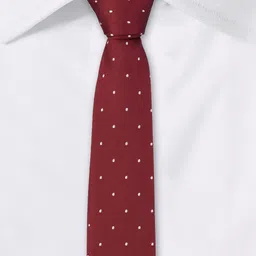 The Tie Hub Men Polka Dots Printed Pure Silk Broad Tie image 3