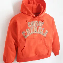Cherry Crumble By Nitt Hyman Unisex Full Sleeves Brand Name Printed Knitted Easy Fit Hooded Pullover -Orange image 1