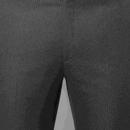 Cantabil Olive Regular Fit Trousers image 5