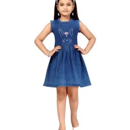 Aarika Kids Blue Regular Fit Dress-image-72