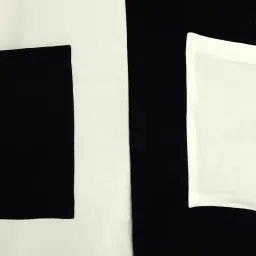 PATRORNA Off White & Black Color-Block Sheath Shift Dress image 5