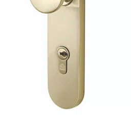 Bonus G5 Reflex 85 mm Brass Silver Gold Finish Pearl Mortice Lock Set-picture-12