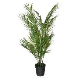 ikea fejka Artificial potted plant, in/outdoor Areca palm, 19 cm-picture-22