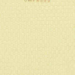 Caprese Yellow Faux Leather Medium Backpack image 3