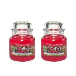 Yankee Candle Classic Jar Red Raspberry Scented Candles - Pack of 2 image 1