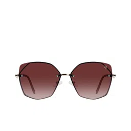 Woggles Unisex Brown Lens & Rose Gold-Toned Oversized Sunglasses with image 3
