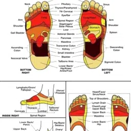 HackerX Tummy Twister Ab Exerciser image 2