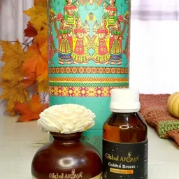 GLOBAL AROMA Golden Breeze Fragracne Ethenic Flower Pot Reed Diffuser Set image 2