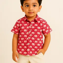 TOONKY Boys Printed Shirt with Shorts-picture-19