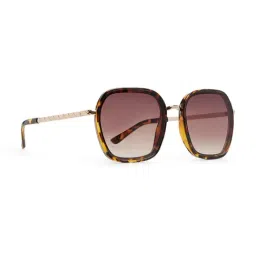 ALDO Other Brown Polycarbonate Sunglass image 2