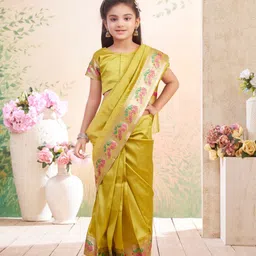 BAESD Zari Pure Silk Banarasi Saree-image-4