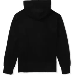 American Eagle Black Regular Fit Printed Hooded SweatShirt image 4