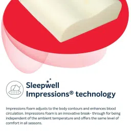 Sleepwell Impressions Curves Pillow image 3