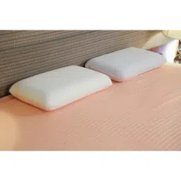 The White Willow White Regular Pillow with Cover - Set of 1 image 2