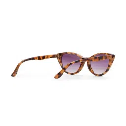 ALDO Other Brown Polycarbonate Sunglass image 3