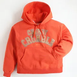 Cherry Crumble By Nitt Hyman Unisex Full Sleeves Brand Name Printed Knitted Easy Fit Hooded Pullover -Orange image 5
