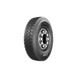 CEAT 10.00R20 Winsuper D Truck Radial 16 PR Tyre and Tube with Flap-picture-11