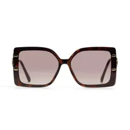 ALDO Other Brown Polycarbonate Sunglass-picture-18