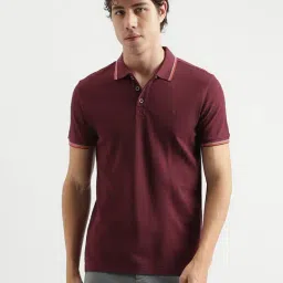 United Colors of Benetton Wine Regular Fit Polo T-Shirt-picture-24