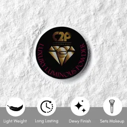 C2P PROFESSIONAL MAKEUP HD Luxury Luminous Powder Nude 04 - 13 gm image 3