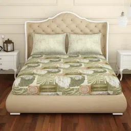 Spaces Beige 144 TC Cotton Queen Fitted Bed Sheet with 2 Pillow Covers-picture-13