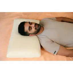 The White Willow White Regular Pillow with Cover - Set of 1 image 3