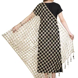 A R SILK DUPATTA HUB Embroidered Dupatta with Mirror Work image 5