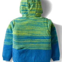 Babyhug Knitted Full Sleeves Hooded Front Open Sweater With Cable Knit Design - Green & Blue image 3