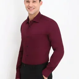 Allen Solly Maroon Regular Fit Shirt image 3