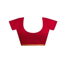 SANISA Floral Pure Chiffon Designer Saree image 2