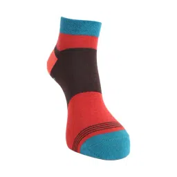 Dollar Multicolor Ankle Length Socks (Pack of 3) image 5
