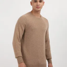 Tommy Hilfiger Brown Regular Fit Pullover image 4