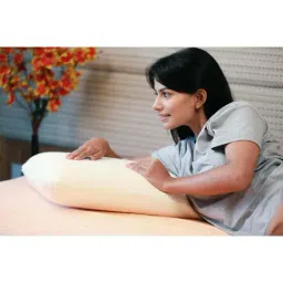 The White Willow White Regular Pillow with Cover - Set of 1 image 4