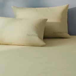 Nautica Compass-400 Yellow Cotton 400 TC King Size Bedsheet With 2 Pillow Covers image 4