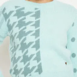 Duke Sea Green Printed Pullover image 5