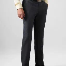 Park Avenue Blue Regular Fit Self Pattern Trousers image 4