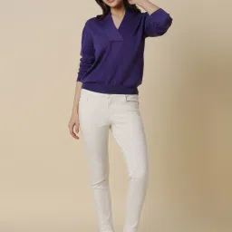 Allen Solly Blue Regular Fit Sweater image 4