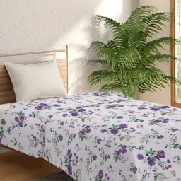 Trident Urban Comfort Multi Comforter-image-11